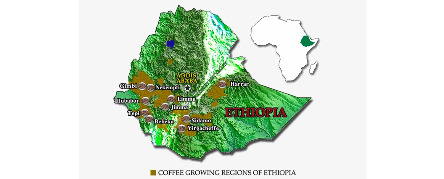 Image showing the growing regions in Ethiopia